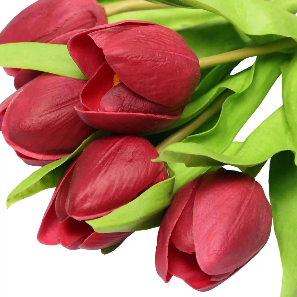 Tulip- Red
