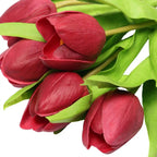 Tulip- Red