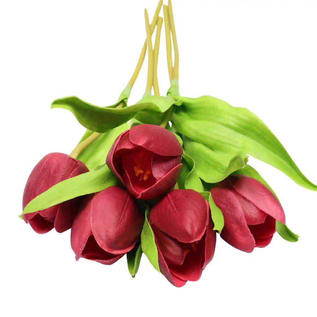 Tulip- Red