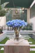 blue artificial Oxalis flowers in glass vase Egypt