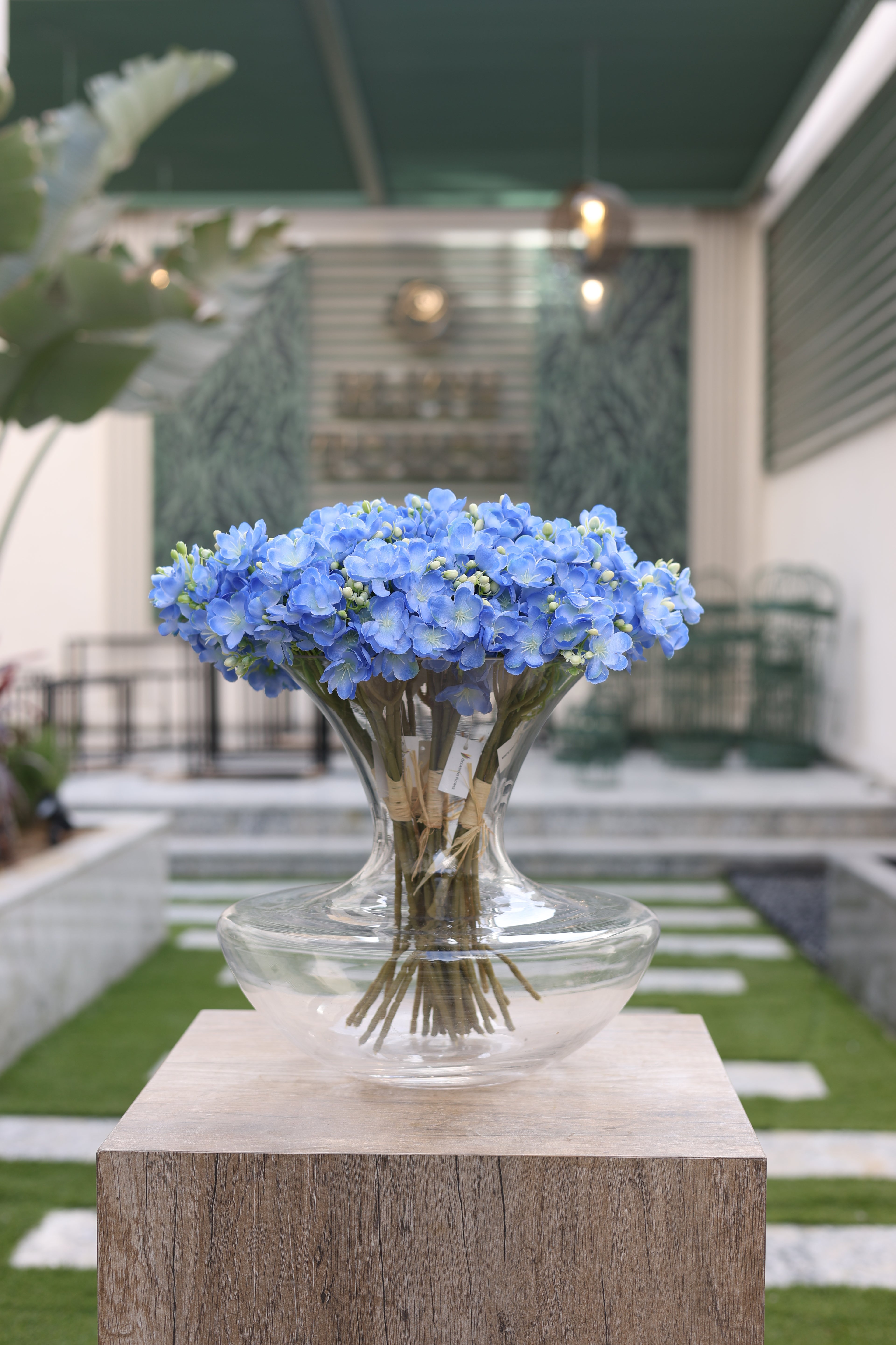 blue artificial Oxalis flowers in glass vase Egypt