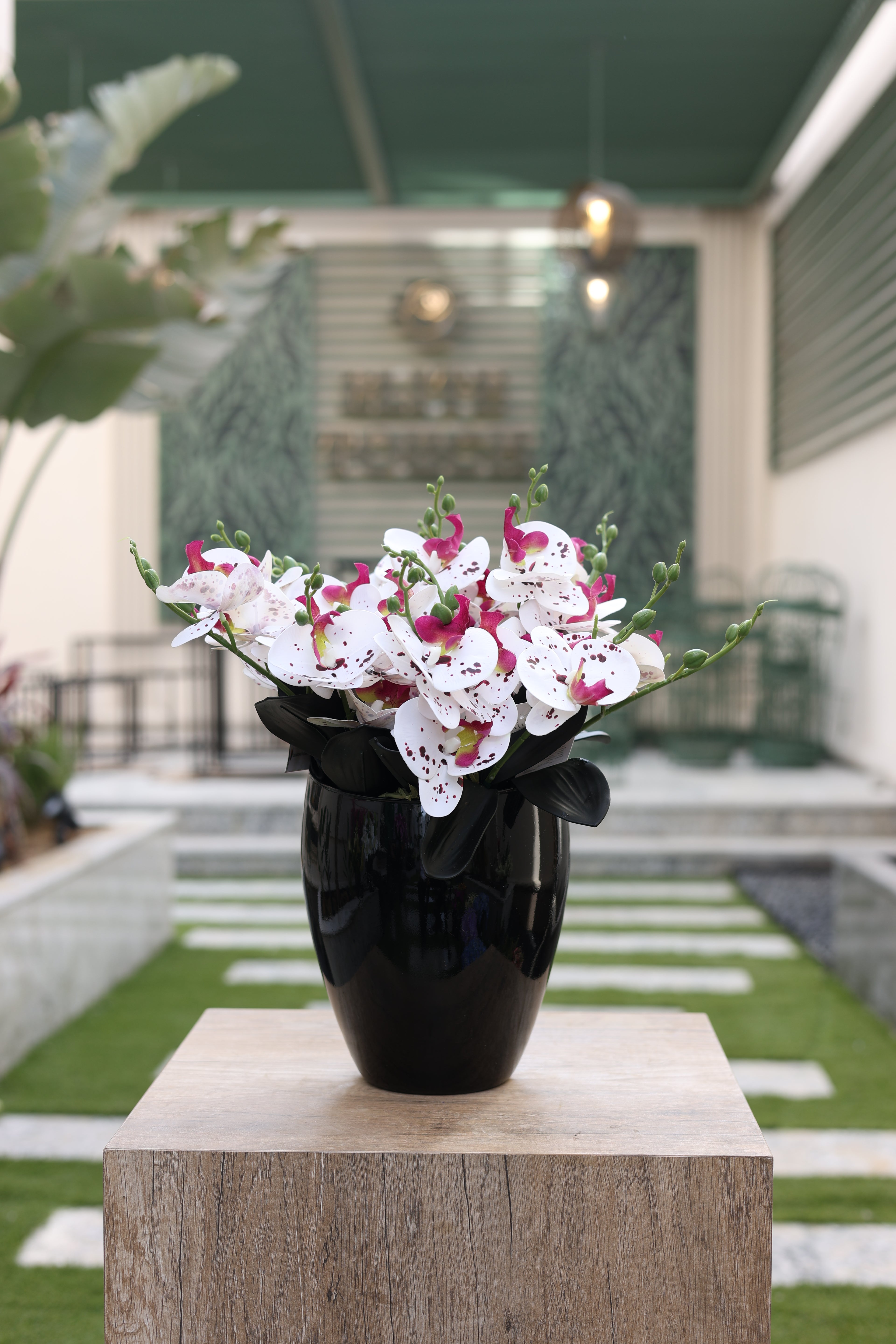 white pink artificial Phalaenopsis orchid in black vase Egypt