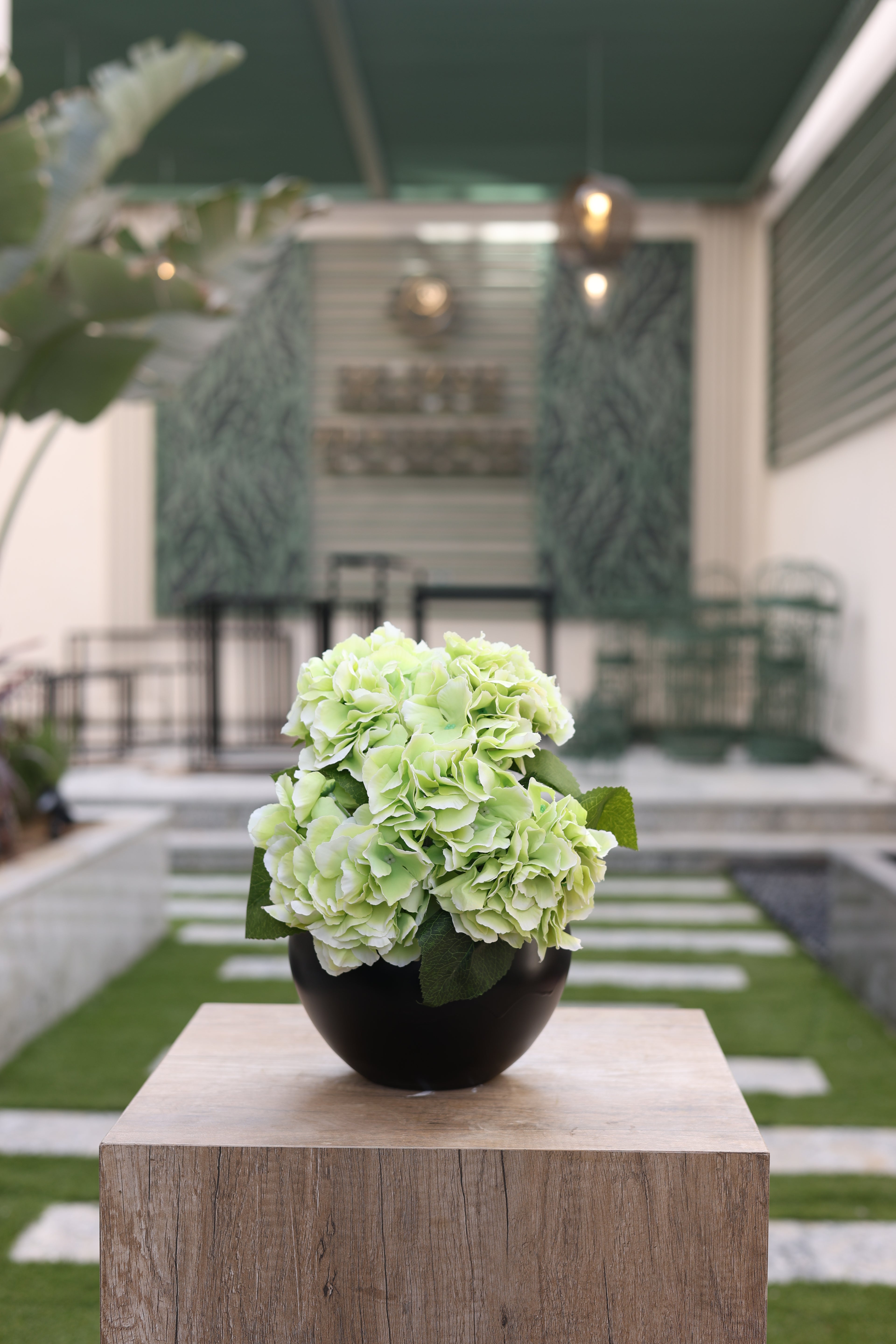 cool green artificial Ortancia flowers in circular black vase Egypt