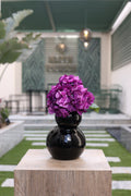 violet artificial Ortancia flowers in black vase Egypt