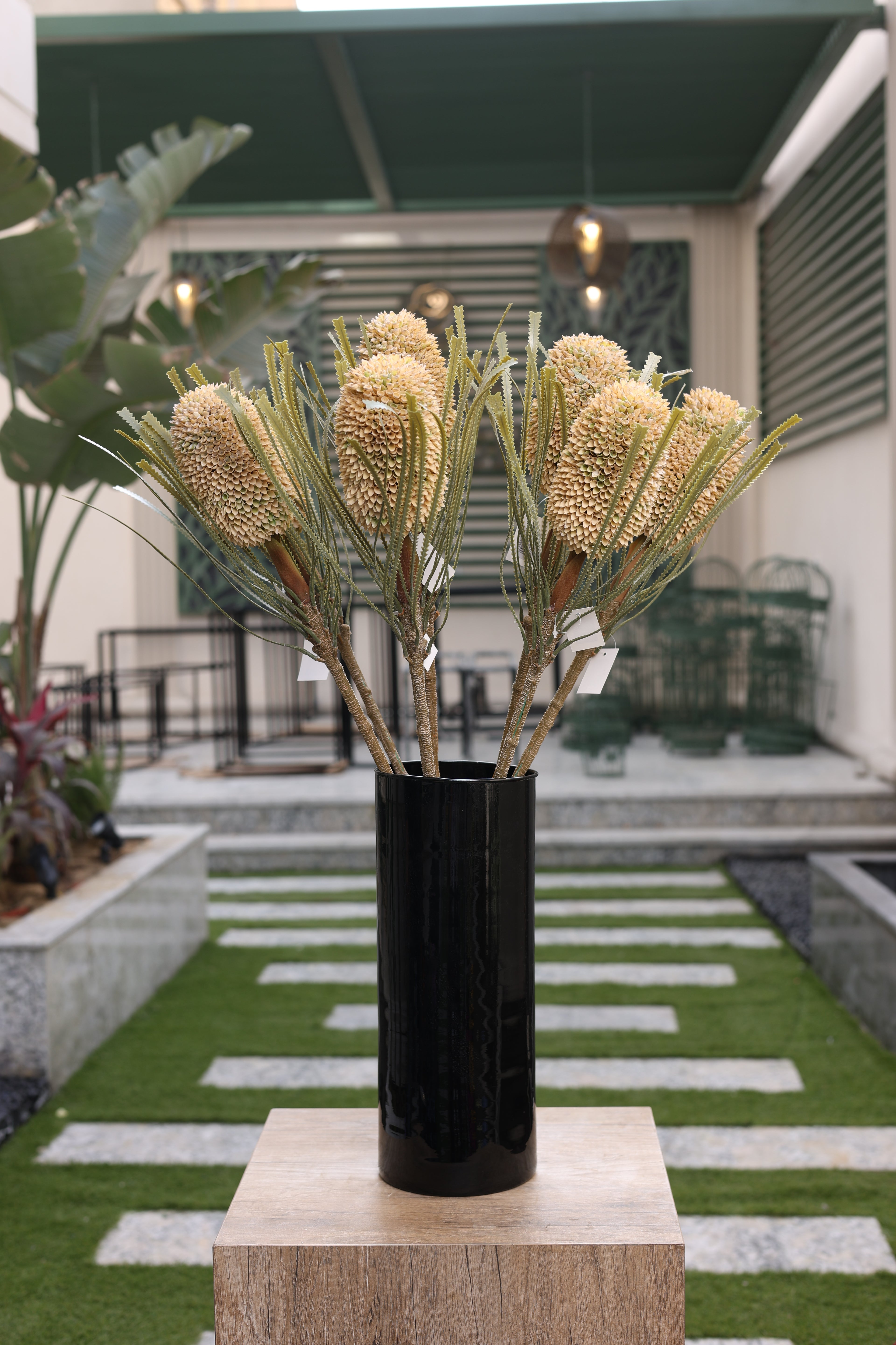 cream artificial Banksia 6 stem in glass vase Egypt