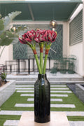 red artificial amaryllis 3 stem in glass vase Egypt
