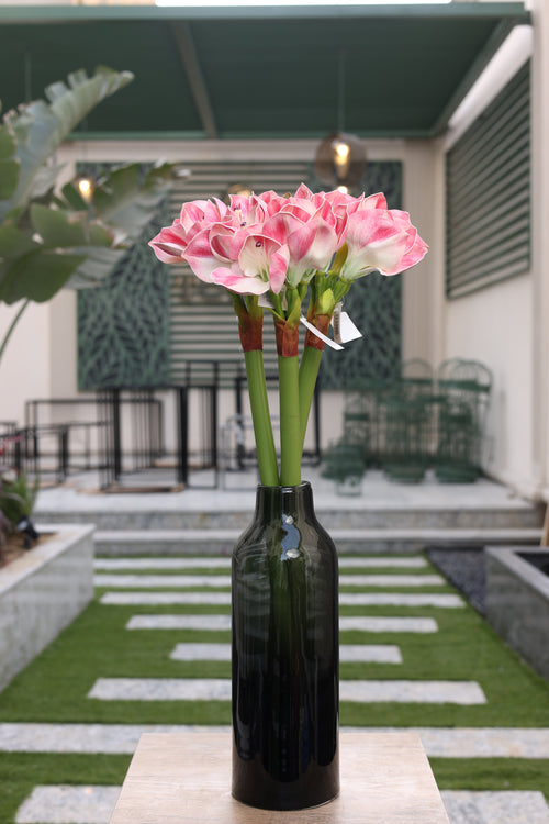 artificial amaryllis flowers in glass vase Egypt