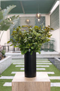 artificial hedge 7 stem in glass vase Egypt