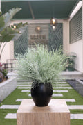 artificial shrub 21 stem in glass vase Egypt