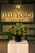 artificial green foliage in glass vase Egypt