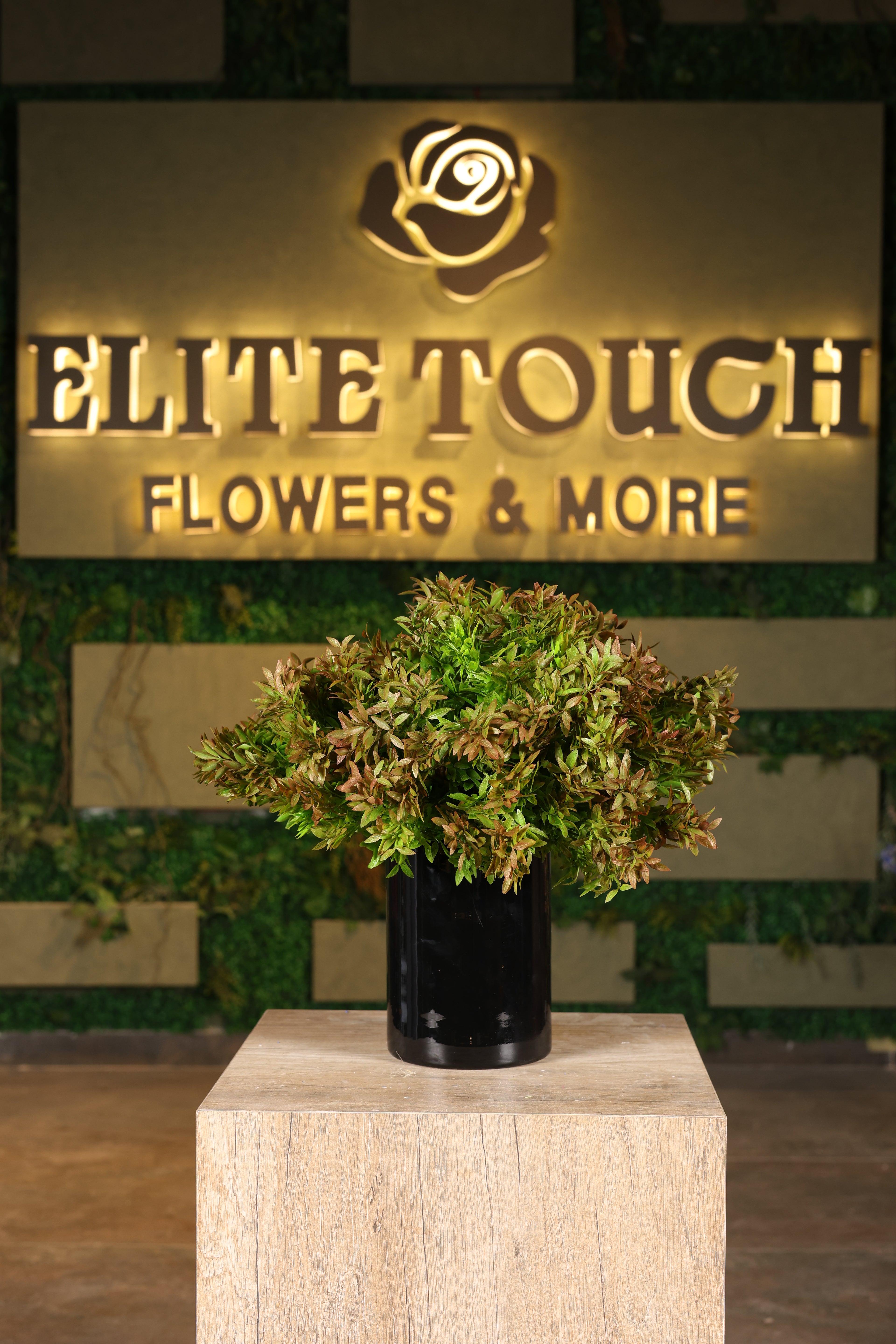 artificial green foliage in glass vase Egypt