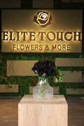 artificial black flower and green foliage in glass vase Egyp