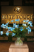 tall artificial baby orchid in glass vase Egypt