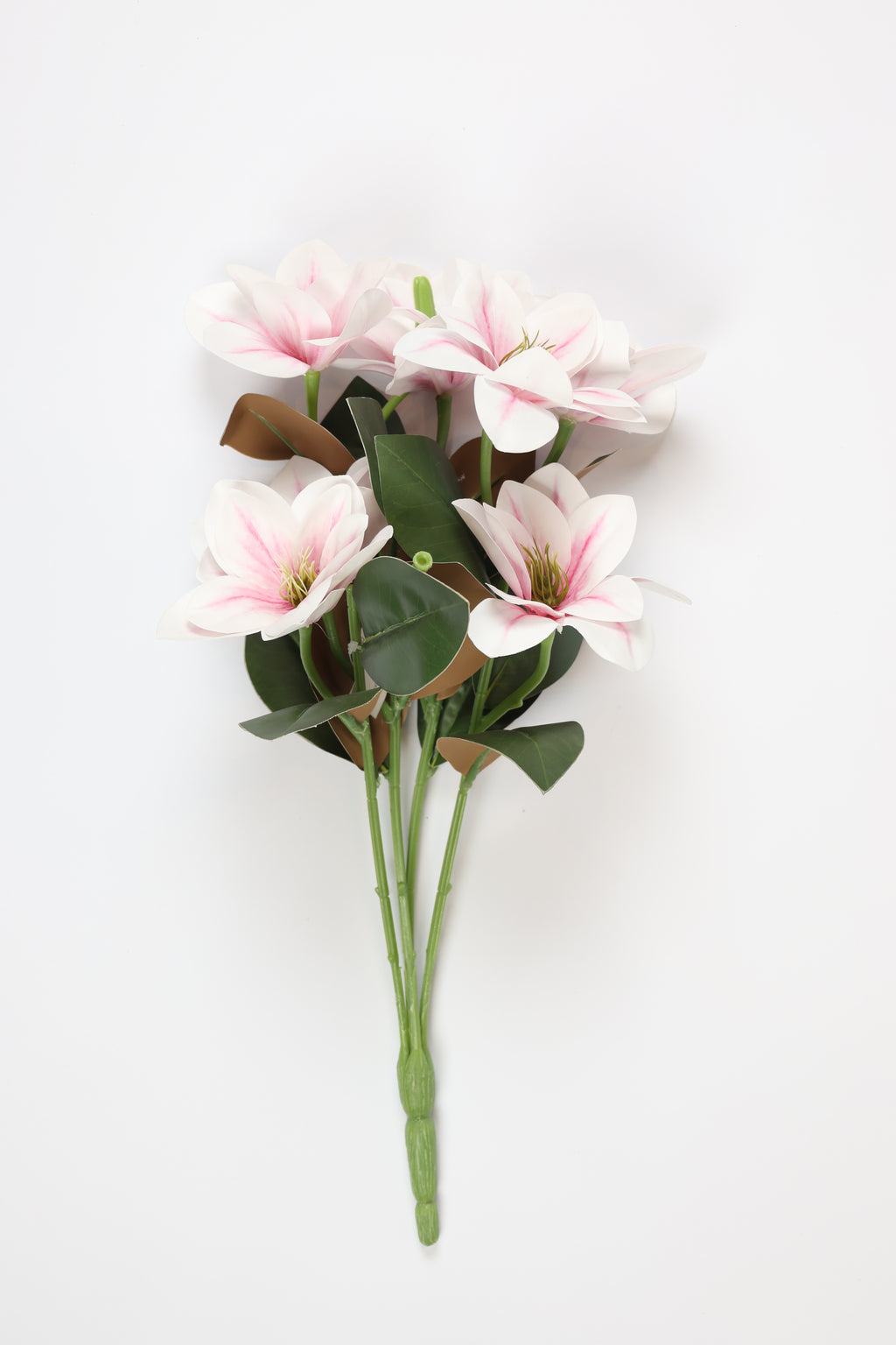 Clematis -White Pink