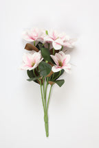 Clematis -White Pink