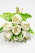 Tulip -White, Green - One, Coll