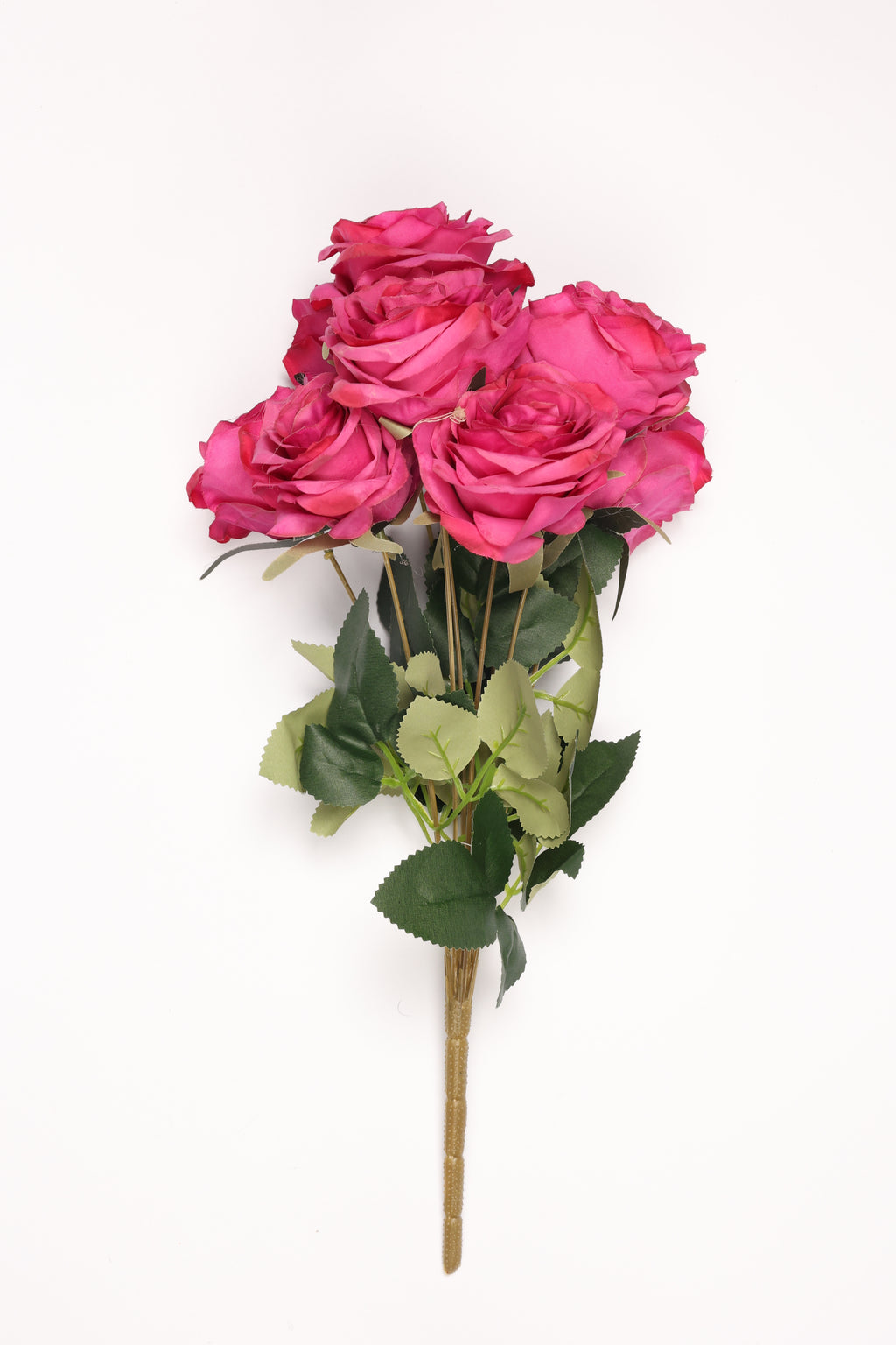 Roses - Hot Pink