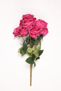 Roses - Hot Pink