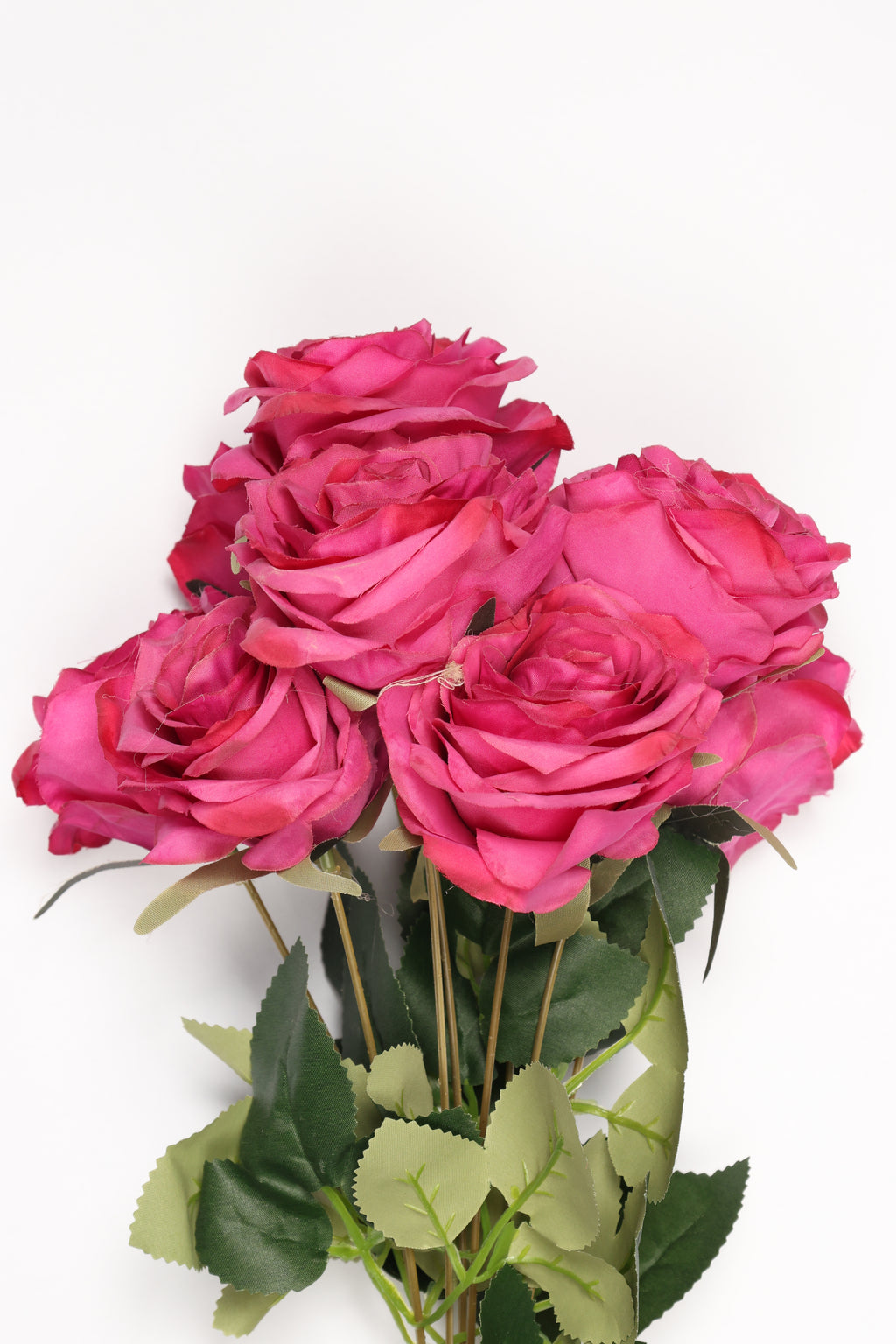 Roses - Hot Pink