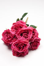 Roses - Hot Pink