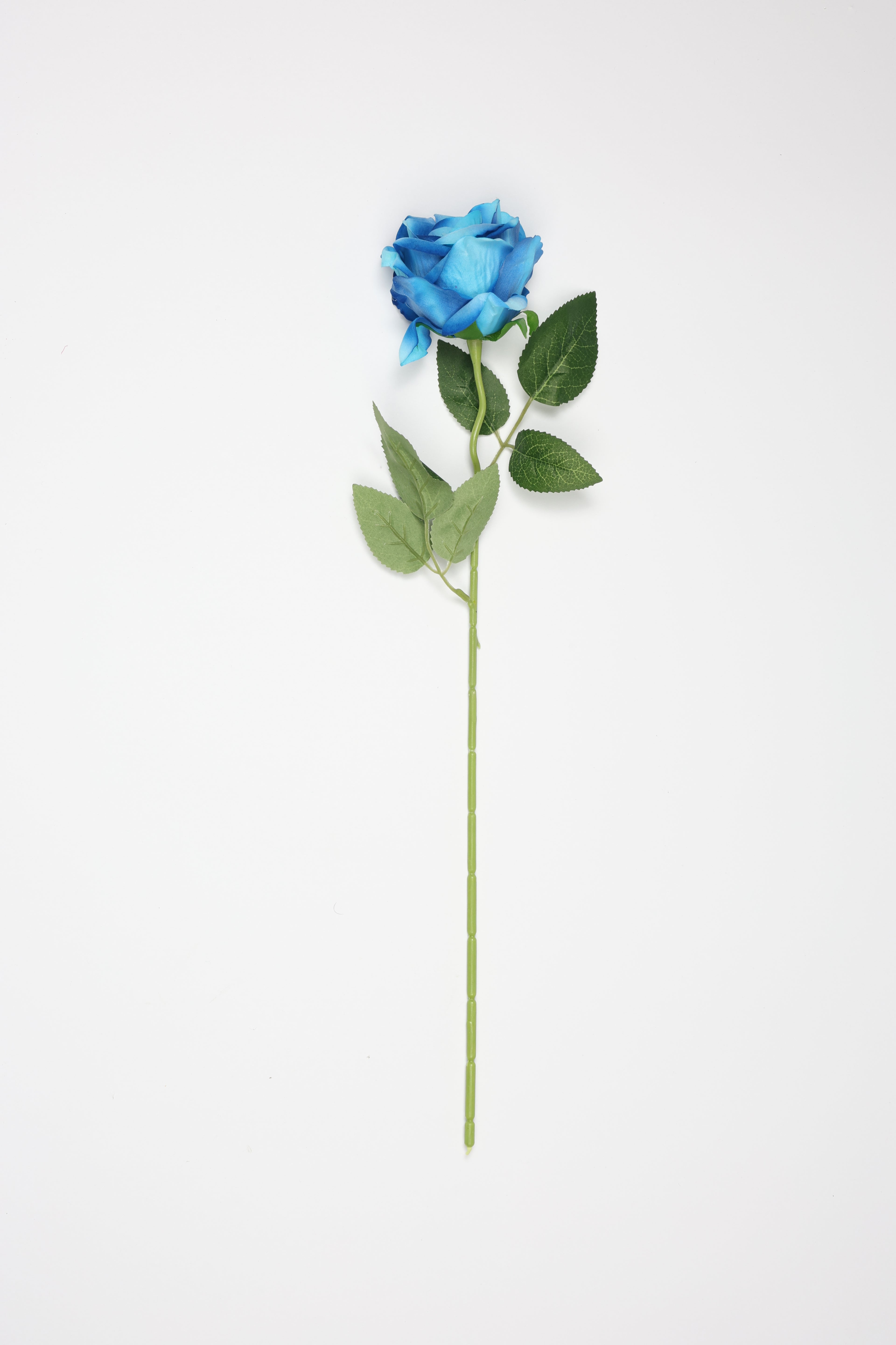 Roses-Blue