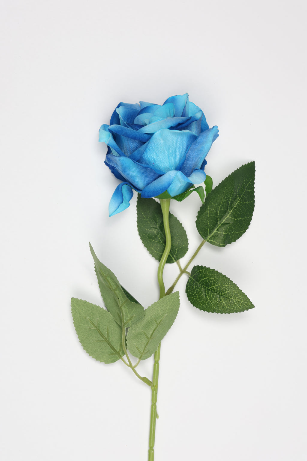 Roses-Blue