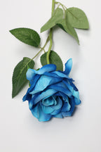 Roses-Blue