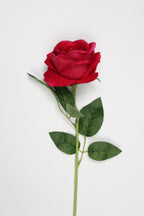 Roses-Red