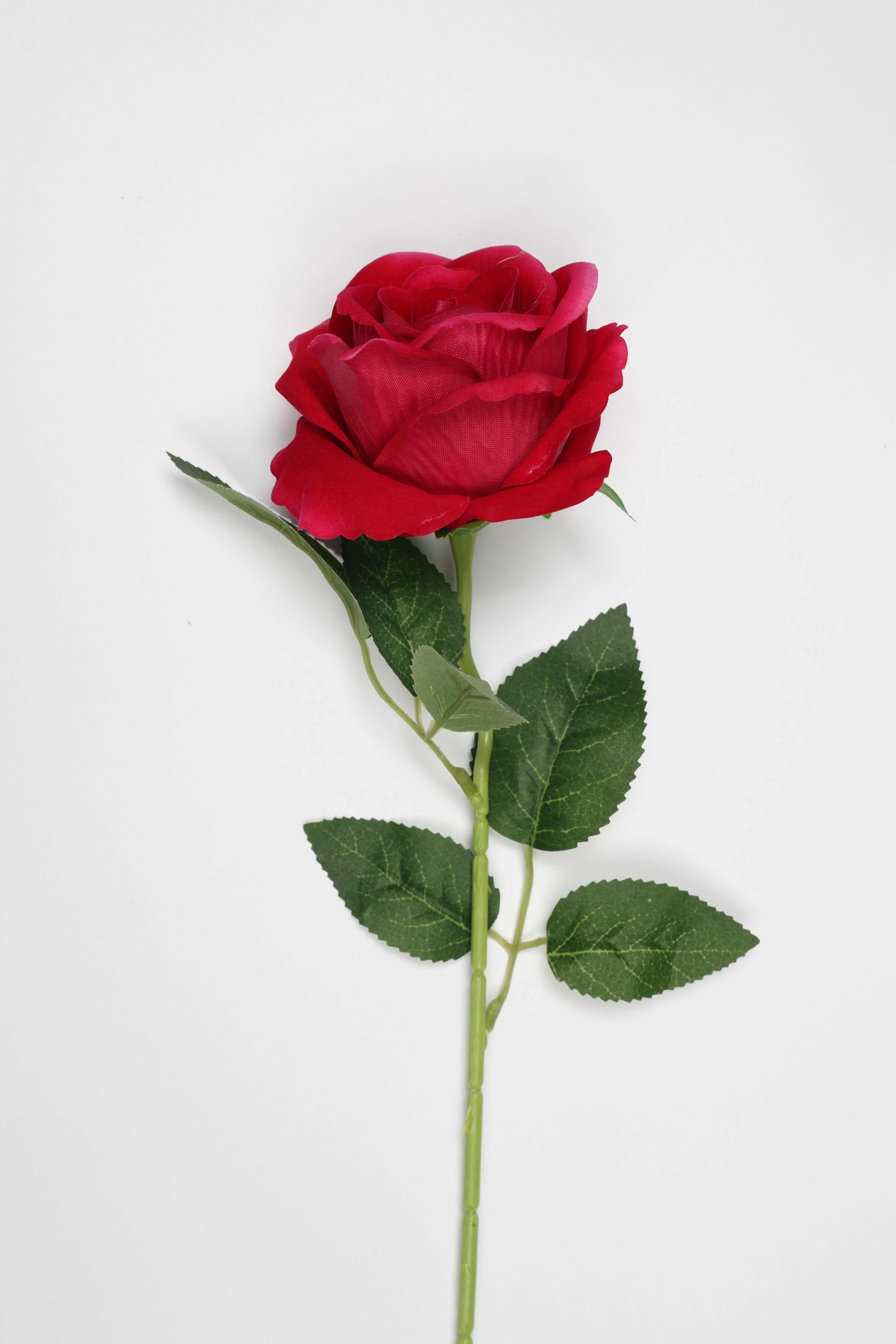 Roses-Red