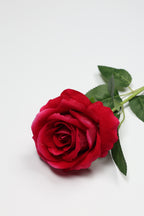 Roses-Red
