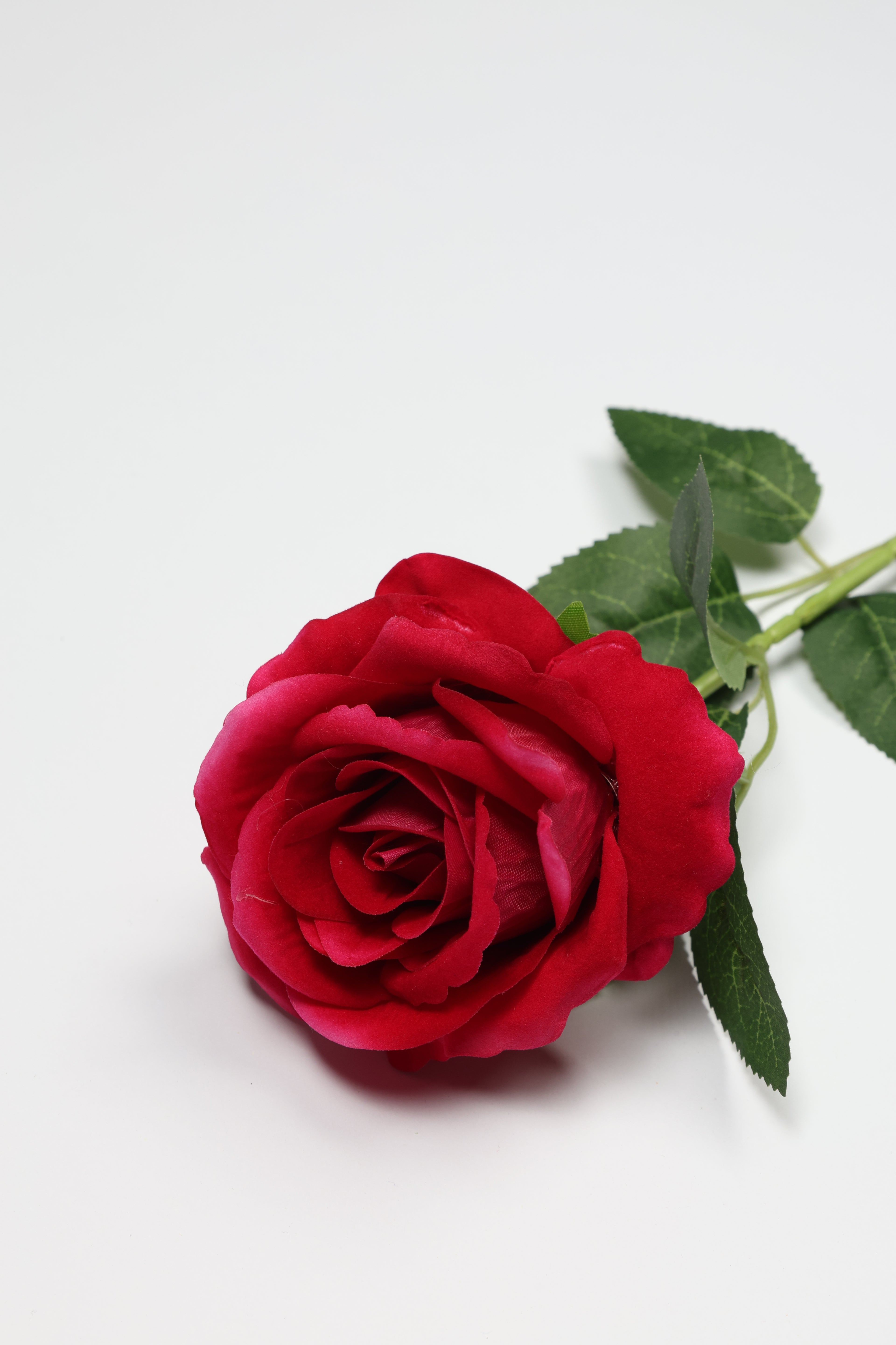 Roses-Red