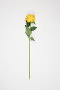 Yellow Flower