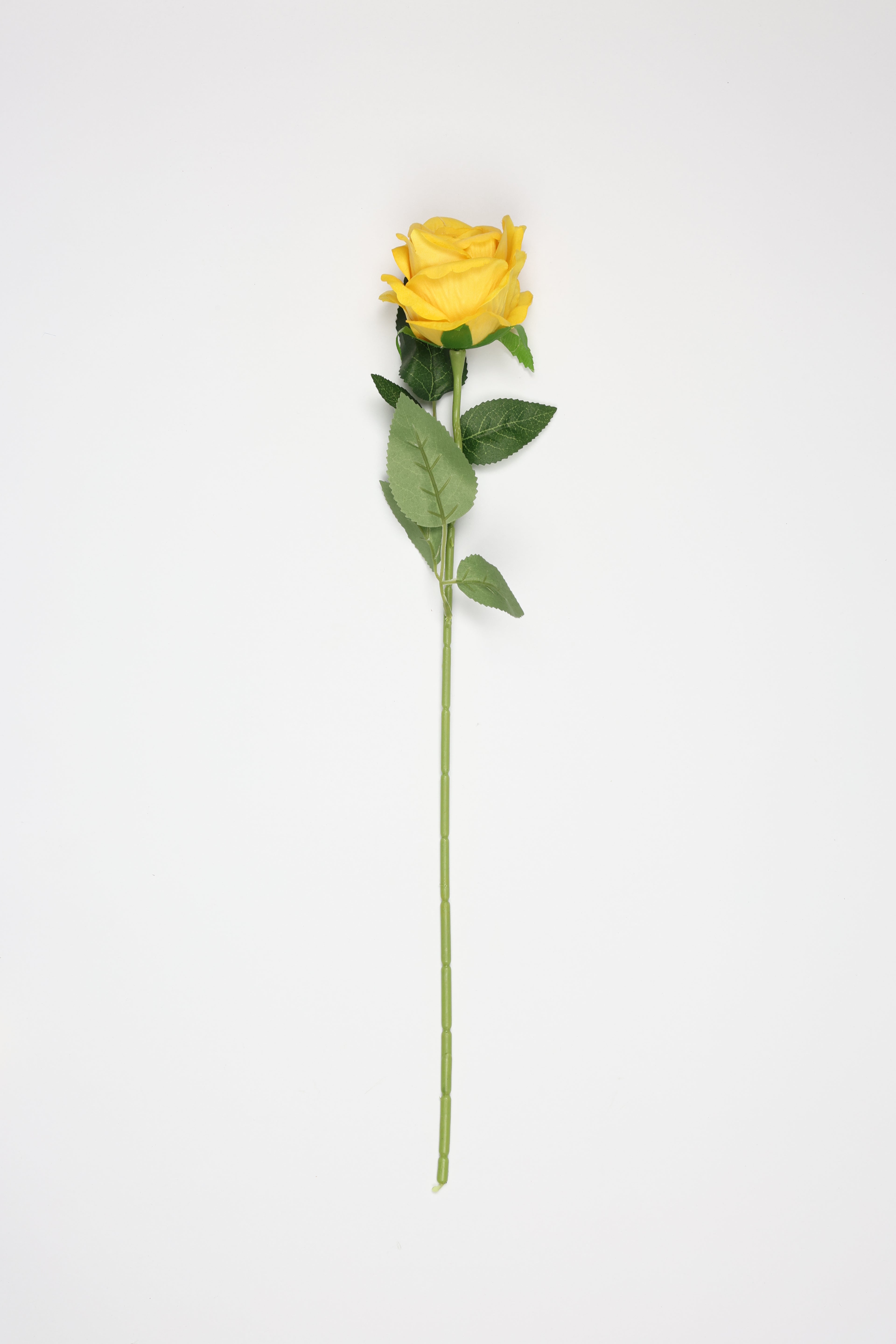 Yellow Flower