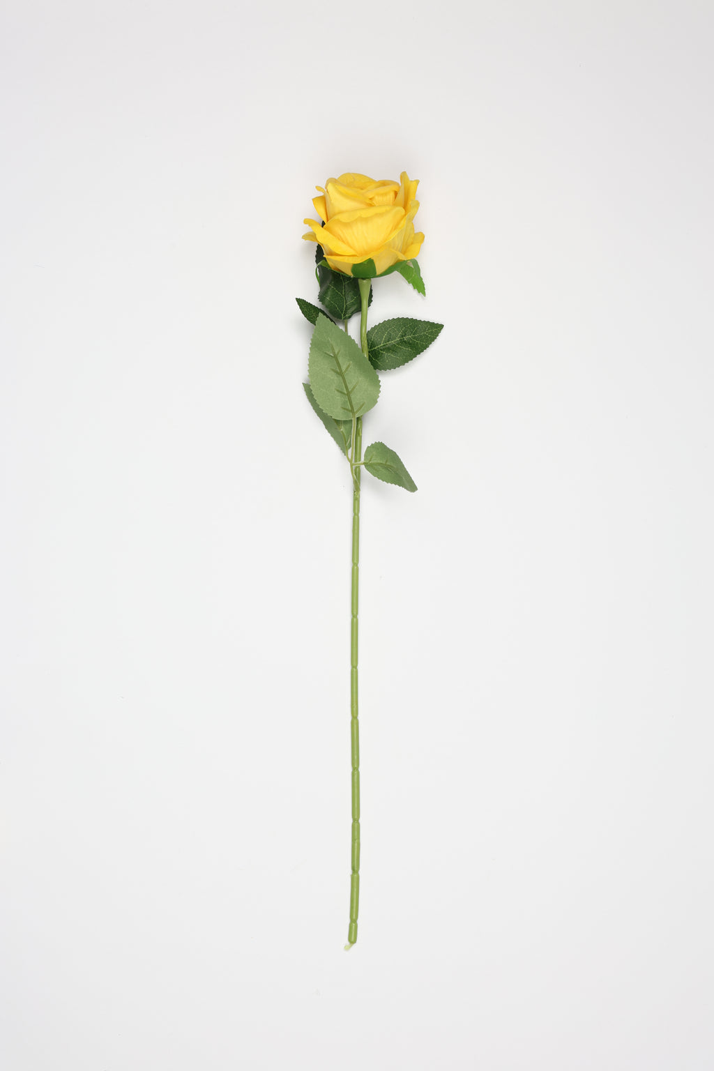 Roses-Yellow