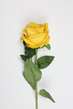 Roses-Yellow