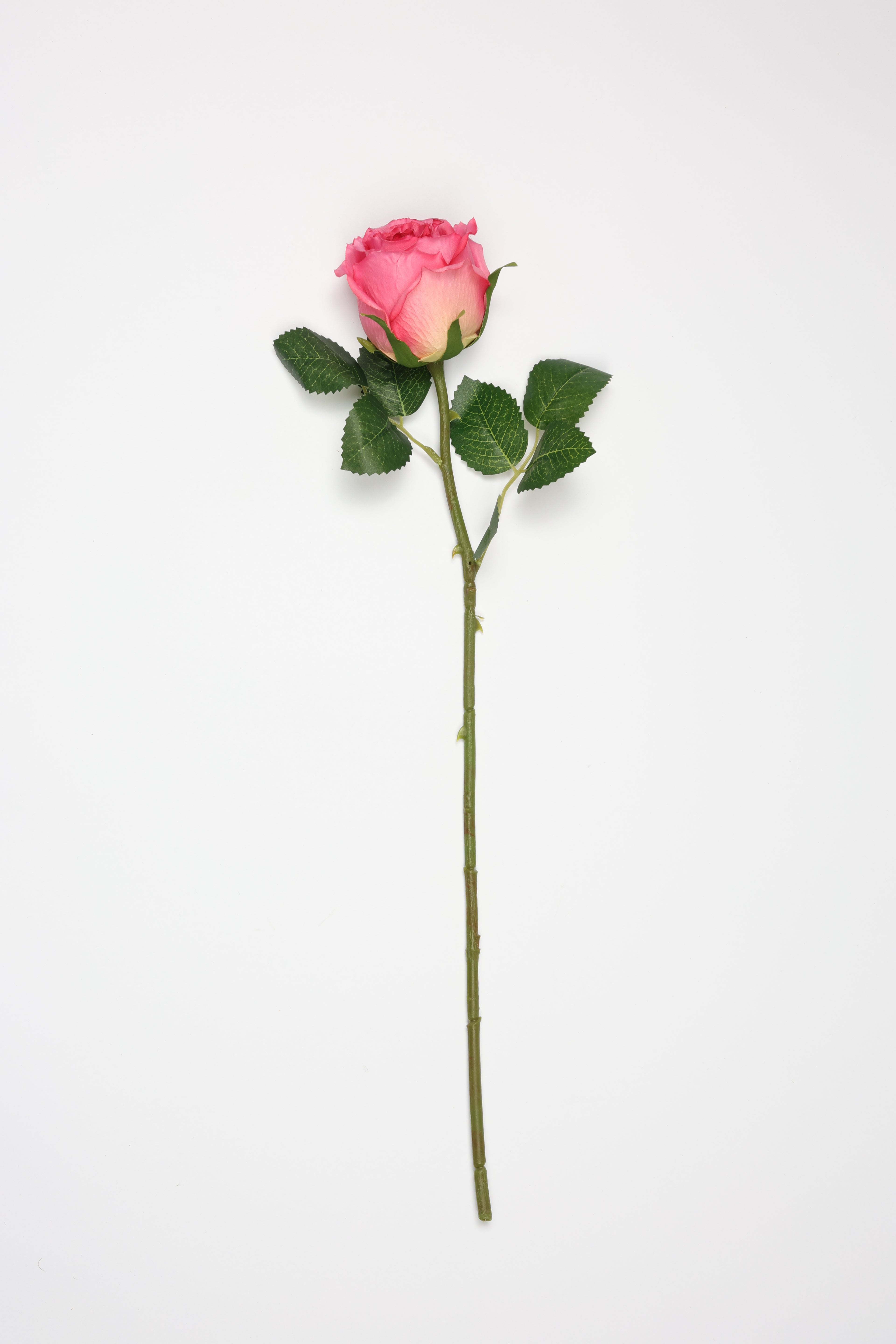 Pink Flower