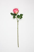 Roses-Pink