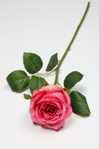 Roses-Pink