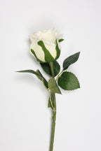 Roses-White