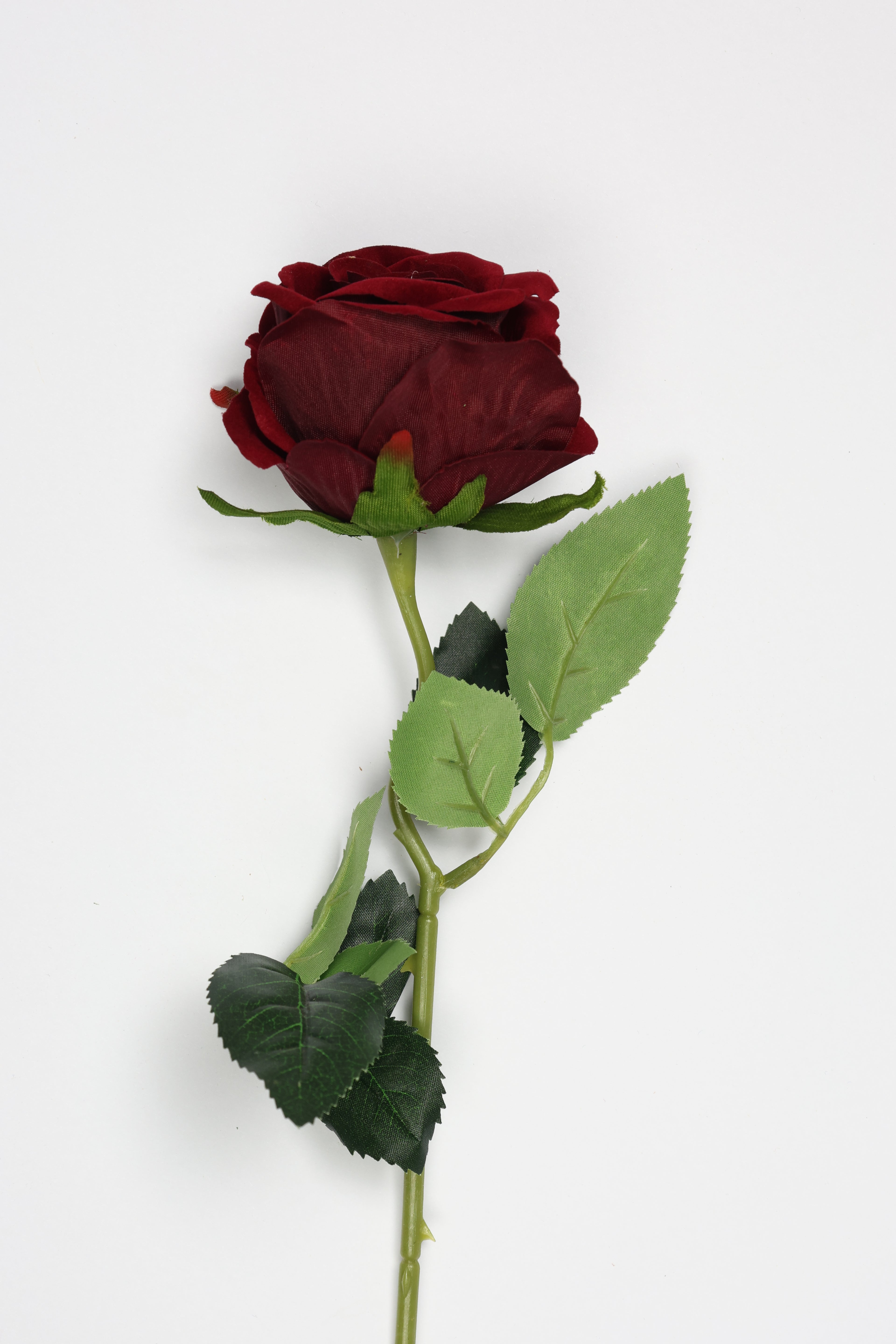 Roses-Burgundy