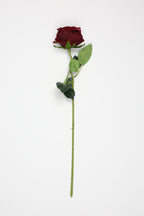 Roses-Burgundy