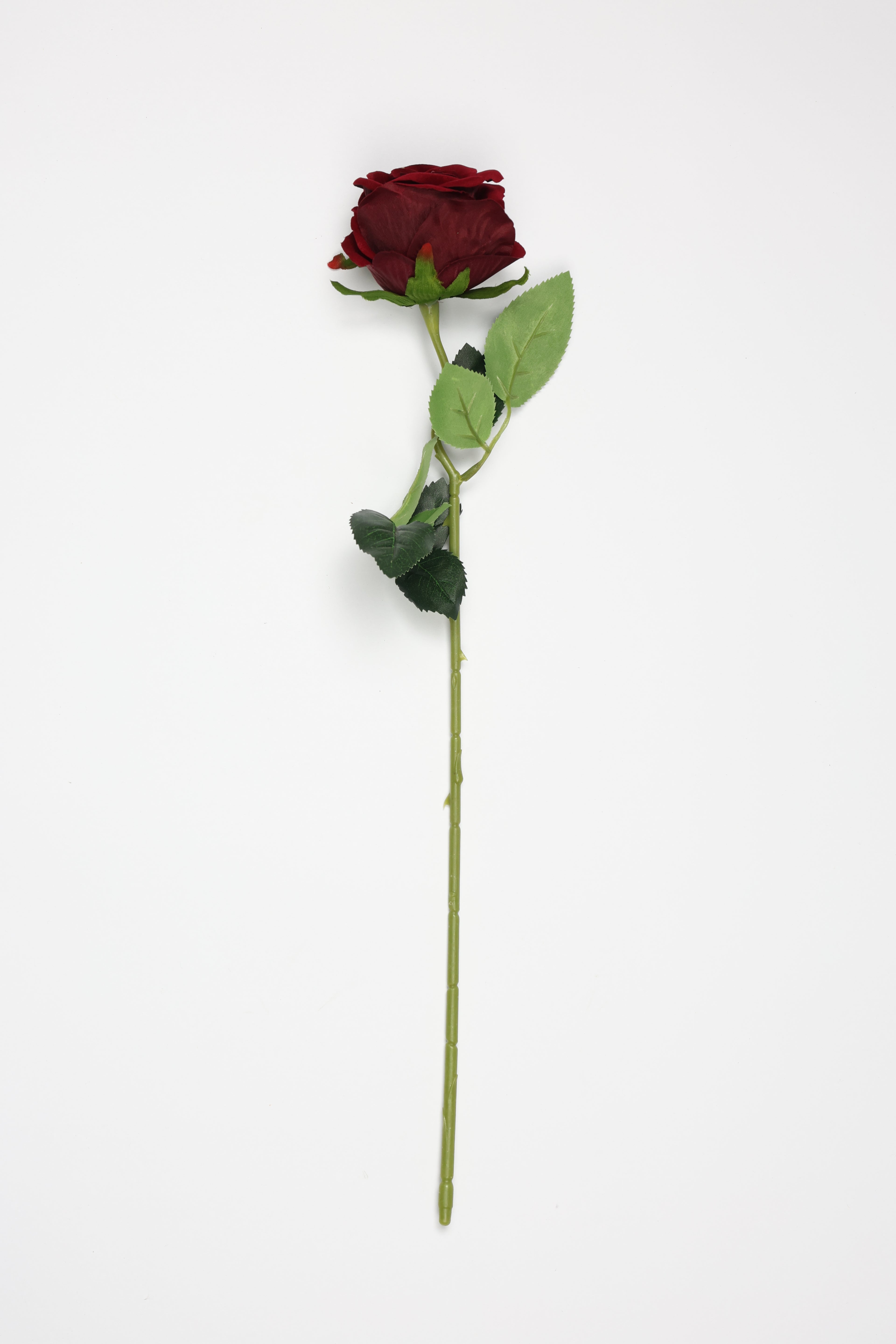 Roses-Burgundy