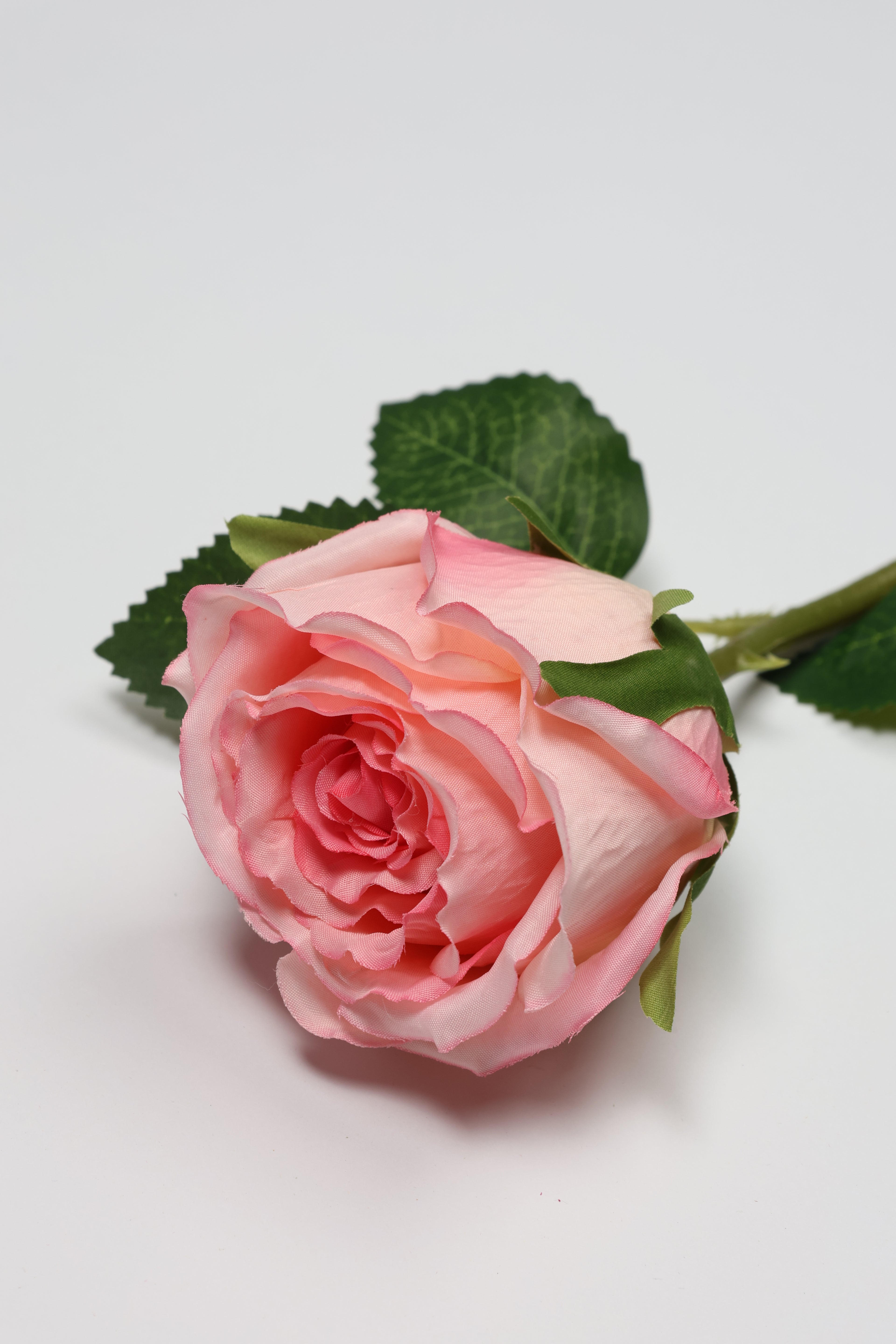 Roses-White Pink