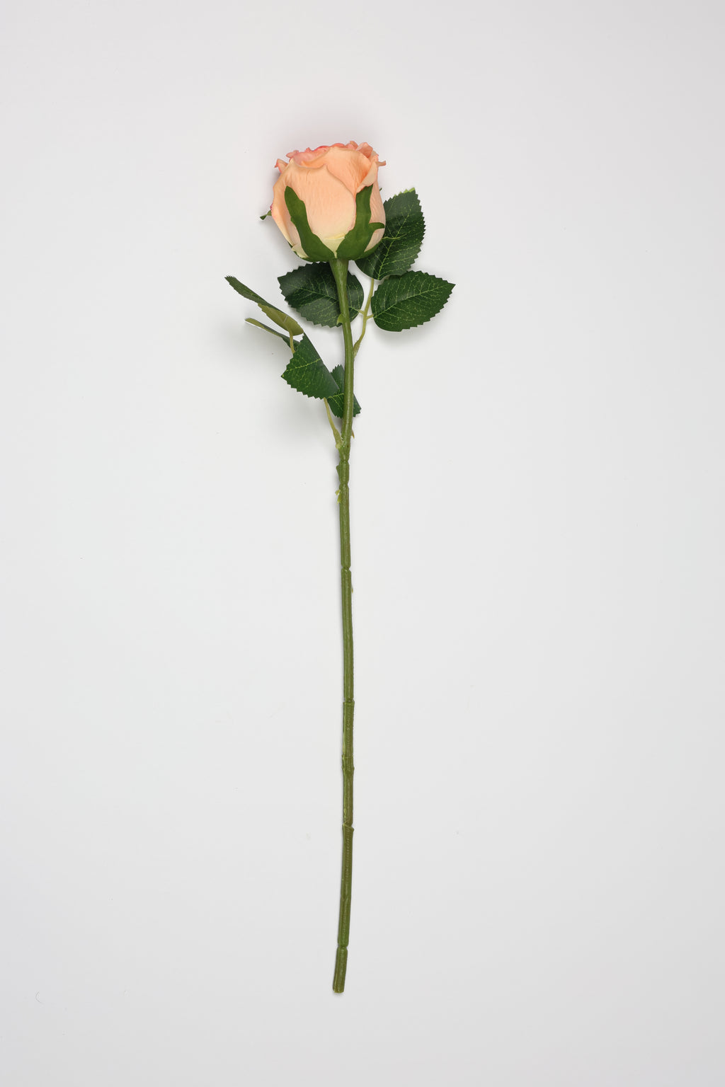 Roses -Simon