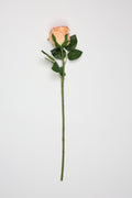 Roses -Simon