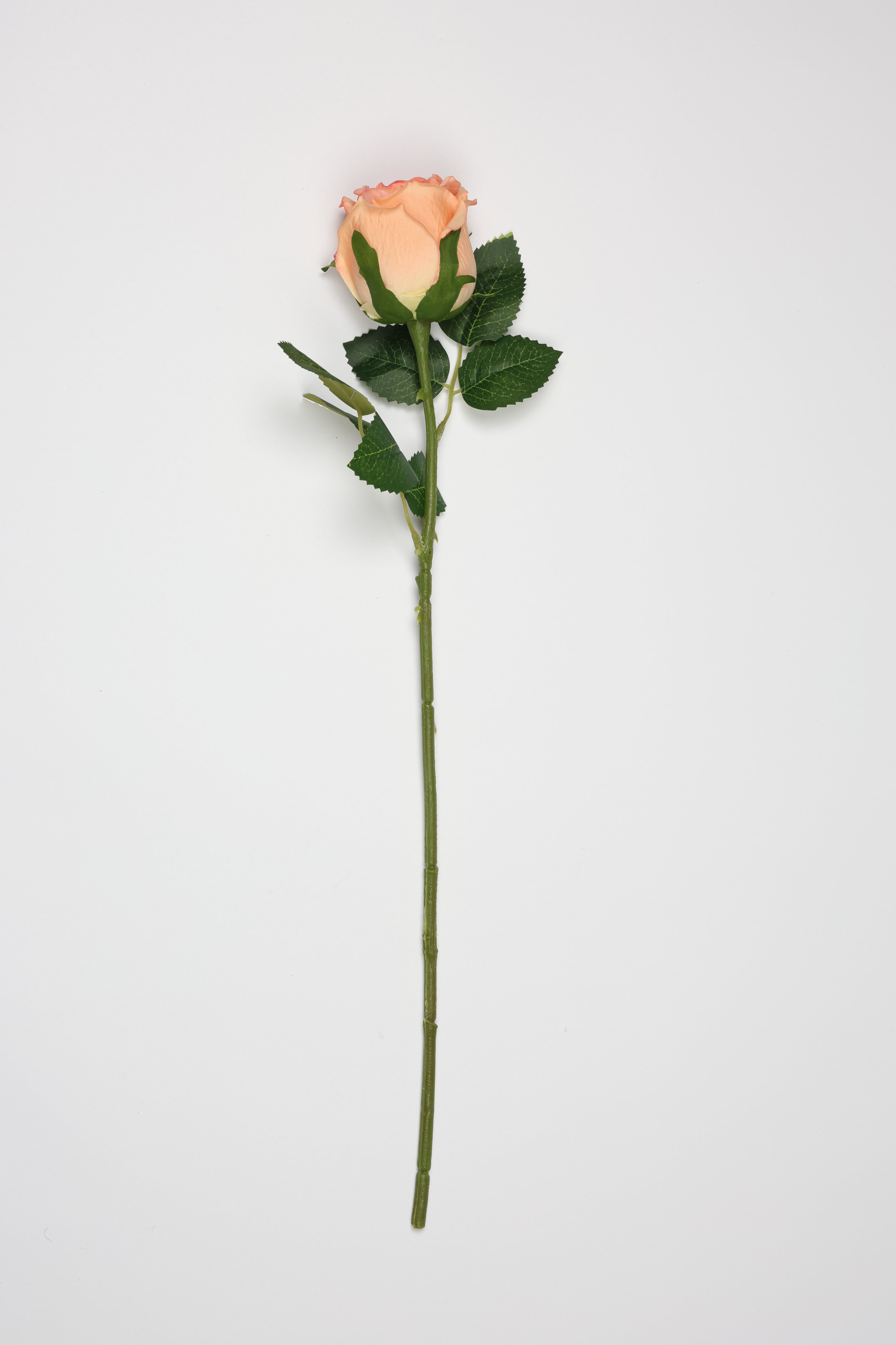 Roses -Simon