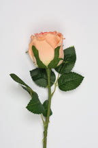 Roses -Simon