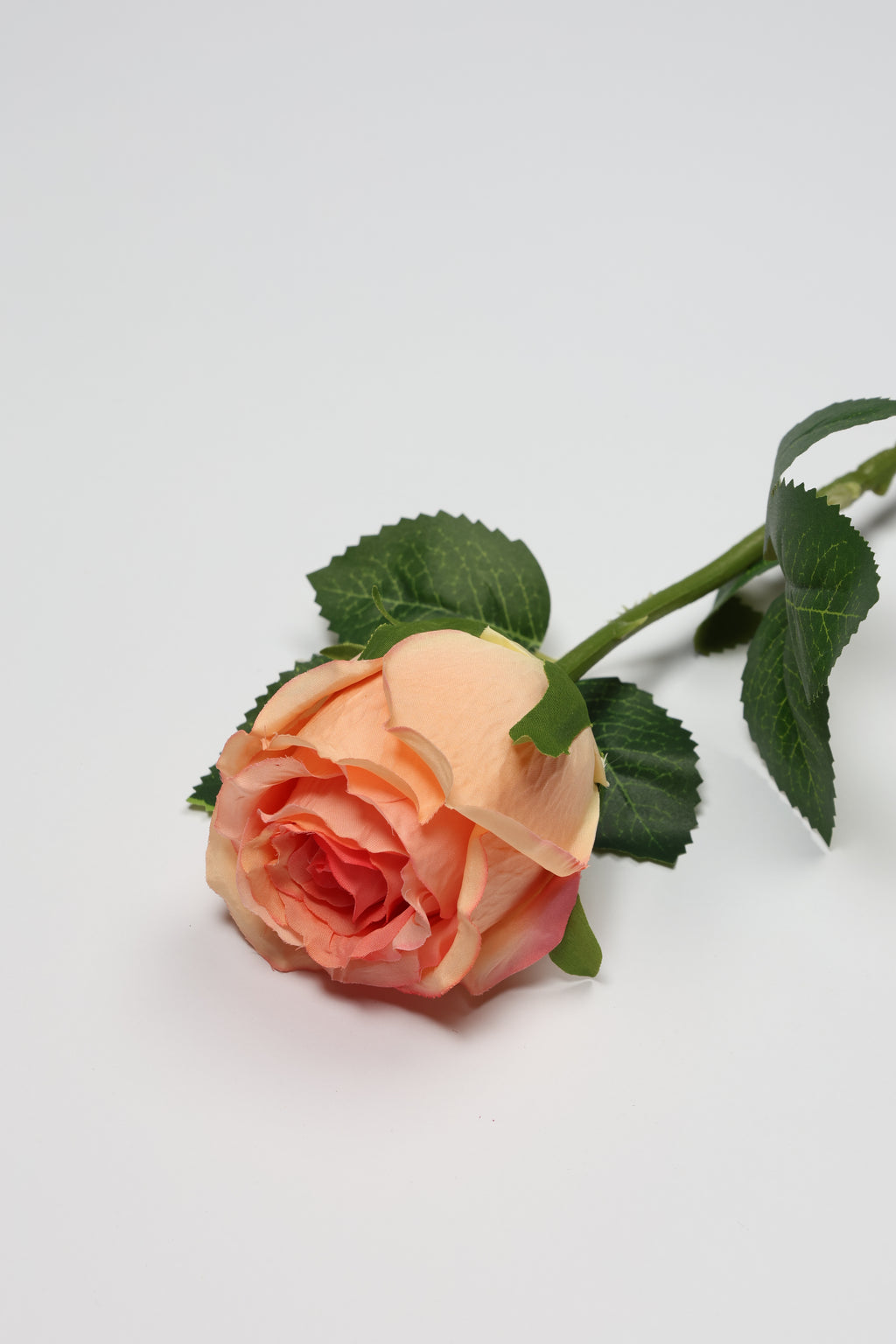 Roses -Simon