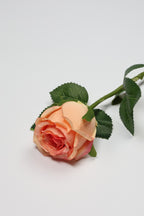 Roses -Simon
