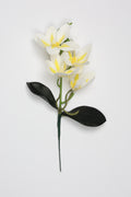 Vanilla Flower-White Yellow - Single 4 Roses